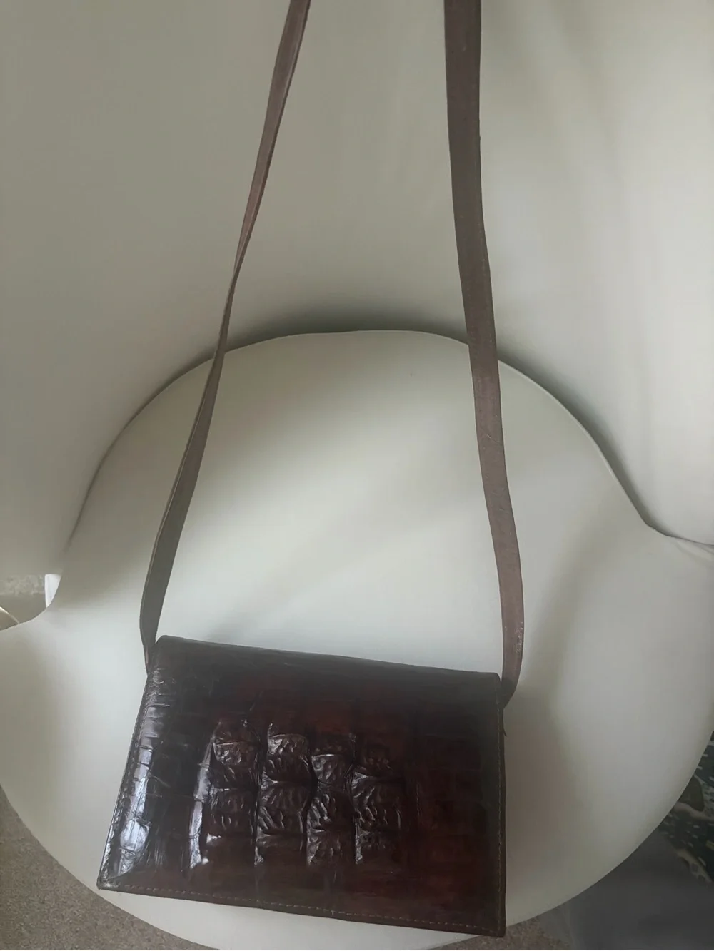 Africa authentic crocodile